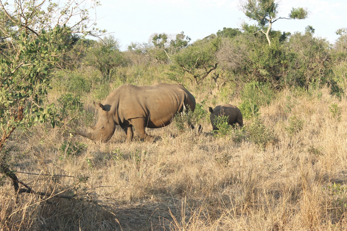 Suedafrika_1 (75aa).JPG